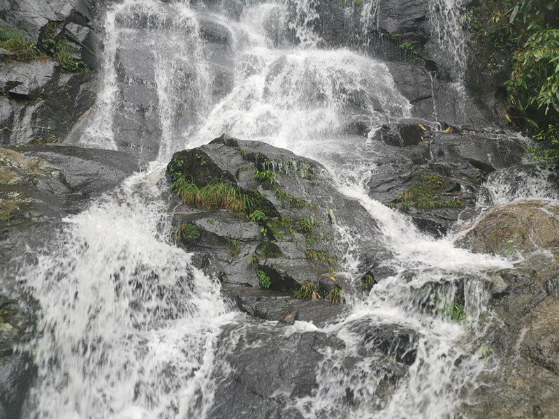 長沙清潔,長沙清潔服務,長沙專業清潔,長沙清潔公司,湖南專業清潔,長沙保潔公司,長沙專業保潔,長沙物業保潔 長沙清潔,長沙清潔服務,長沙專業清潔,長沙清潔公司,湖南專業清潔,長沙保潔公司,長沙專業保潔,長沙物業保潔